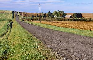 Rural road along farms in Hampton, Prince Edward Island, Canada