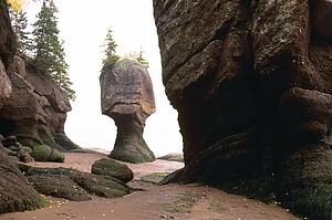 Flowerpot rock, Hopewell Rocks, Shepody Bay, New Brunswick, Canada