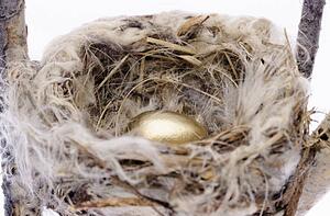 Golden egg in a nest