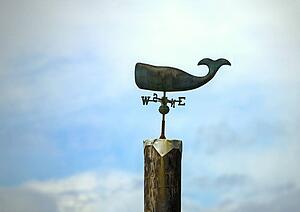 Weather vane