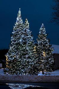 Christmas lights on outside trees