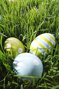 Easter eggs in the grass
