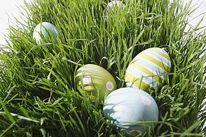 Easter eggs in grass