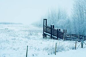 Fence and field in the winter