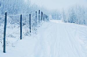 Tracks in the snow by a fence