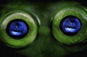 Alien eyes