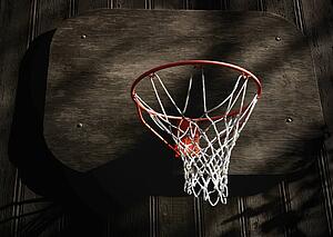 Basketball net