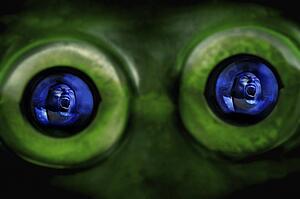 Reflection of a screaming person in alien eyes