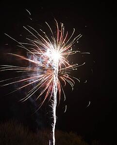 Fireworks in the night sky