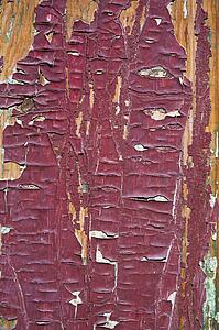 Red paint on wood 