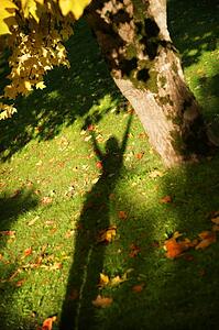Shadow of person with arms raised