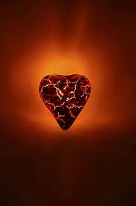 Transformed heart