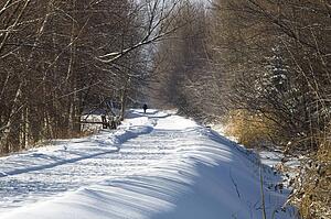 Winter road