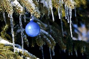 Christmas ornament on tree branch with icicles