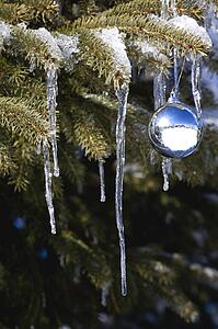 Christmas ornament on tree branch with icicles