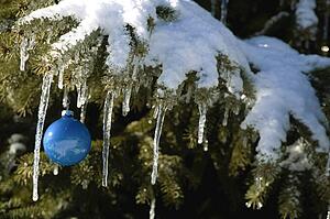 Christmas ornament on snowy tree branch