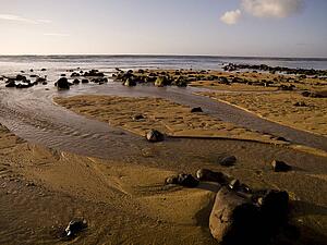 Beach, Kaui, Hawaii 