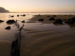 Beach with driftwood and rocks, Kaui, Hawaii
