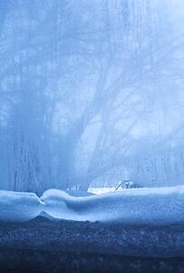 Layers of snow