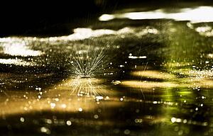 A a piece of dandelion fluff on a puddle