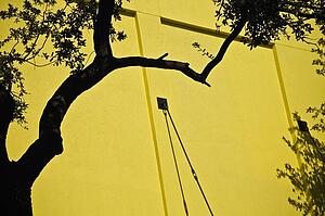A yellow wall and trees
