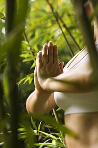 Woman in fitness attire standing in yoga position in bamboo forest