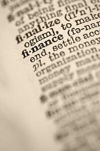 Selective focus of dictionary definition for the word finance