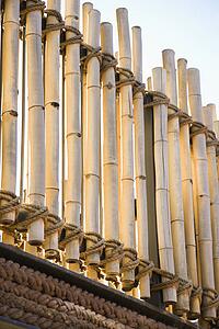 Cut bamboo stalk railing tied with rope