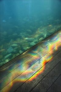 Aquarium with rainbow light passing through water onto wood paneling