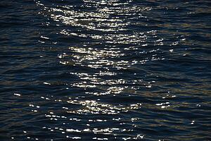 Sunlight hitting waves in water