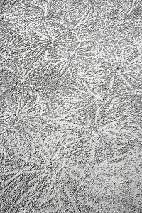 Designs made in sand by crab in Daintree Rainforest, Australia