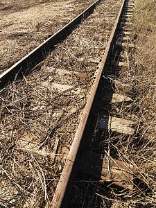 Abandoned railroad tracks