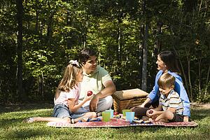 Family picnic in the park