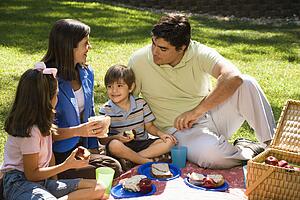 Hispanic family picnic in the park.