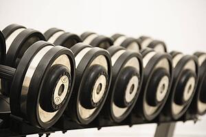 Hand weights on rack at gym