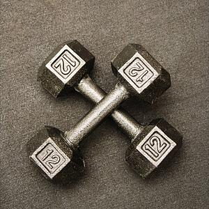 Twelve pound hand weights still life