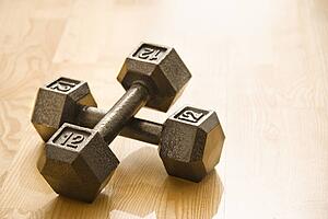 Twelve pound hand weights still life