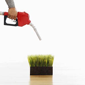 Woman holding gasoline pump nozzle over green grass