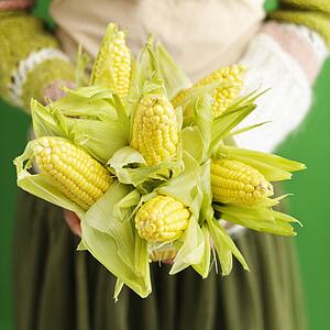 Woman holding bouquet of ears of corn.