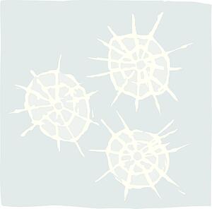 bullet holes