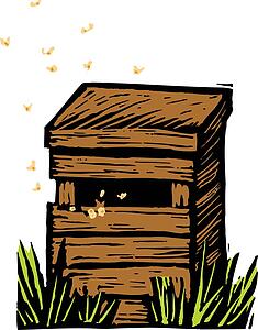 Beehive