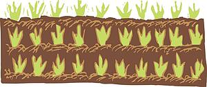 Crop 2 - Seedlings