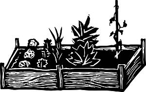 Garden - Raised