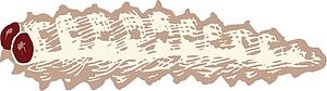 Pest - Cutworm