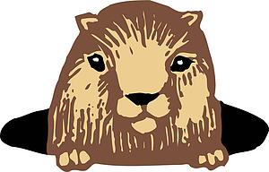 Pest - Gopher