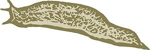 Pest - Slug