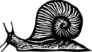 Pest - Snail