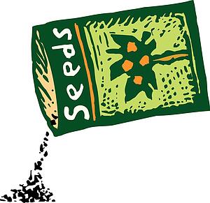 Seeds - Flower