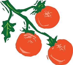 Tomatoes