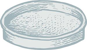 Cake Pan 1